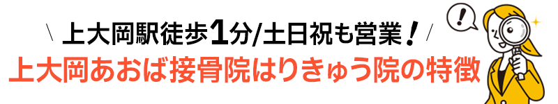 上大岡あおば接骨院はりきゅう院の特徴